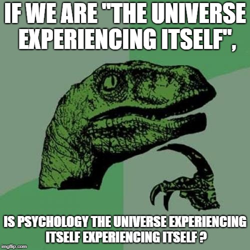 Universal Philosophy | IF WE ARE ''THE UNIVERSE EXPERIENCING ITSELF'', IS PSYCHOLOGY THE UNIVERSE EXPERIENCING ITSELF EXPERIENCING ITSELF ? | image tagged in memes,philosoraptor | made w/ Imgflip meme maker