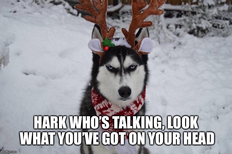 HARK WHO’S TALKING, LOOK WHAT YOU’VE GOT ON YOUR HEAD | made w/ Imgflip meme maker