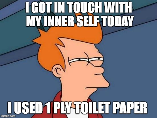 my inner self | I GOT IN TOUCH WITH MY INNER SELF TODAY; I USED 1 PLY TOILET PAPER | image tagged in memes,futurama fry,inner self | made w/ Imgflip meme maker