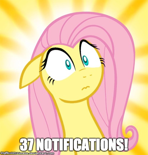 Shocked Fluttershy | 37 NOTIFICATIONS! | image tagged in shocked fluttershy | made w/ Imgflip meme maker