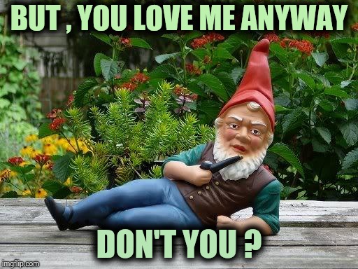 Thief gnome | BUT , YOU LOVE ME ANYWAY DON'T YOU ? | image tagged in thief gnome | made w/ Imgflip meme maker