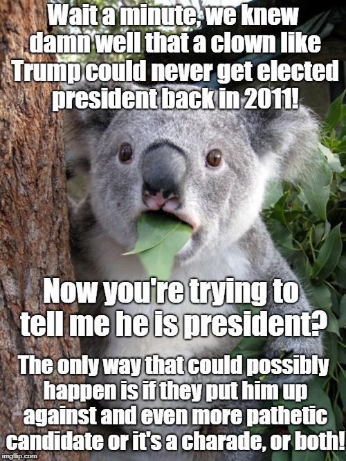 Surprised Koala | Wait a minute, we knew damn well that a clown like Trump could never get elected president back in 2011! Now you're trying to tell me he is president? The only way that could possibly happen is if they put him up against and even more pathetic candidate or it's a charade, or both! | image tagged in memes,surprised koala | made w/ Imgflip meme maker