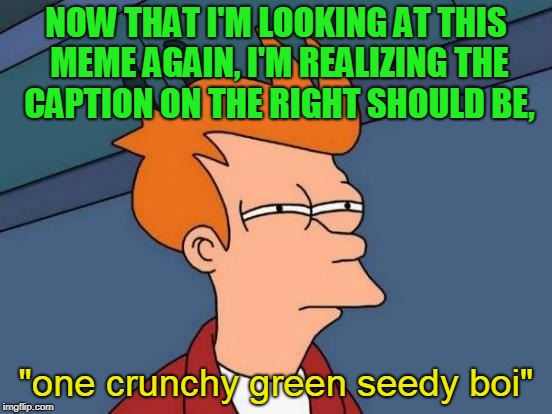 Futurama Fry Meme | NOW THAT I'M LOOKING AT THIS MEME AGAIN, I'M REALIZING THE CAPTION ON THE RIGHT SHOULD BE, "one crunchy green seedy boi" | image tagged in memes,futurama fry | made w/ Imgflip meme maker