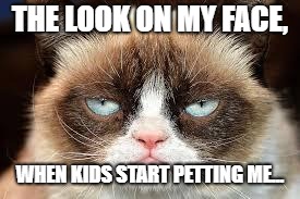 not funny | THE LOOK ON MY FACE, WHEN KIDS START PETTING ME... | image tagged in not funny | made w/ Imgflip meme maker