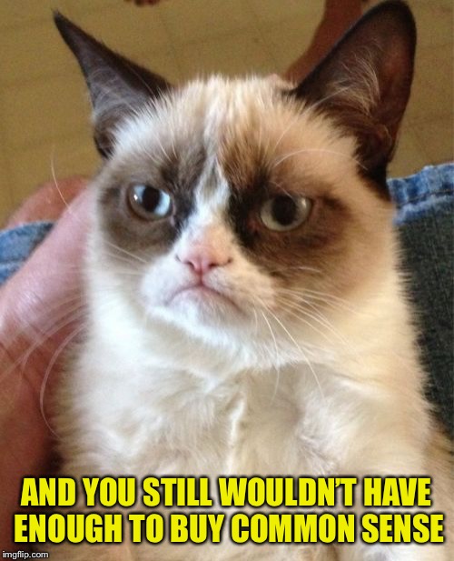 Grumpy Cat Meme | AND YOU STILL WOULDN’T HAVE ENOUGH TO BUY COMMON SENSE | image tagged in memes,grumpy cat | made w/ Imgflip meme maker