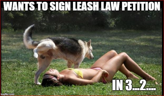 Leash Laws | WANTS TO SIGN LEASH LAW PETITION; IN 3...2.... | image tagged in funny memes,memes,dogs,dog memes | made w/ Imgflip meme maker