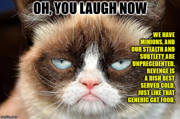 Grumpy Cat Not Amused Meme | OH, YOU LAUGH NOW WE HAVE MINIONS, AND OUR STEALTH AND SUBTLETY ARE UNPRECEDENTED. REVENGE IS A DISH BEST SERVED COLD. JUST LIKE THAT GENERI | image tagged in memes,grumpy cat not amused,grumpy cat | made w/ Imgflip meme maker