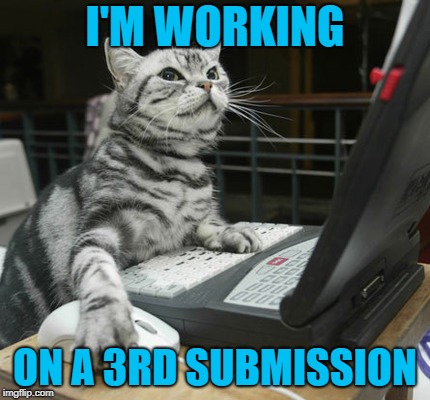 computer cat | I'M WORKING ON A 3RD SUBMISSION | image tagged in computer cat | made w/ Imgflip meme maker