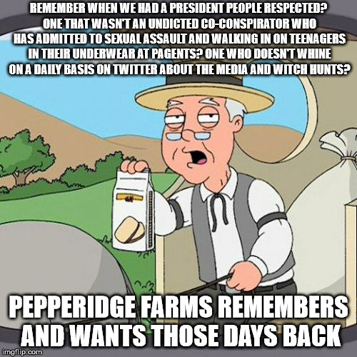 Pepperidge Farm Remembers Meme | REMEMBER WHEN WE HAD A PRESIDENT PEOPLE RESPECTED? ONE THAT WASN'T AN UNDICTED CO-CONSPIRATOR WHO HAS ADMITTED TO SEXUAL ASSAULT AND WALKING IN ON TEENAGERS IN THEIR UNDERWEAR AT PAGENTS? ONE WHO DOESN'T WHINE ON A DAILY BASIS ON TWITTER ABOUT THE MEDIA AND WITCH HUNTS? PEPPERIDGE FARMS REMEMBERS AND WANTS THOSE DAYS BACK | image tagged in memes,pepperidge farm remembers | made w/ Imgflip meme maker