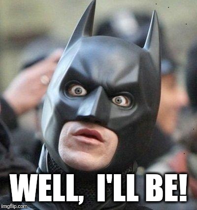 Shocked Batman | WELL,  I'LL BE! | image tagged in shocked batman | made w/ Imgflip meme maker