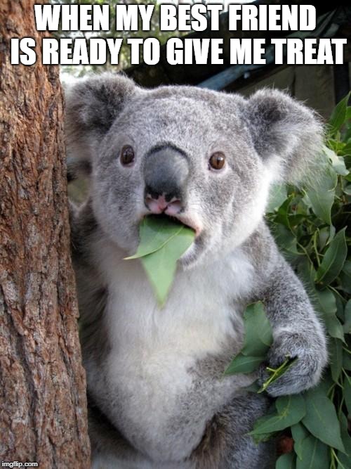 Surprised Koala | WHEN MY BEST FRIEND IS READY TO GIVE ME TREAT | image tagged in memes,surprised koala | made w/ Imgflip meme maker