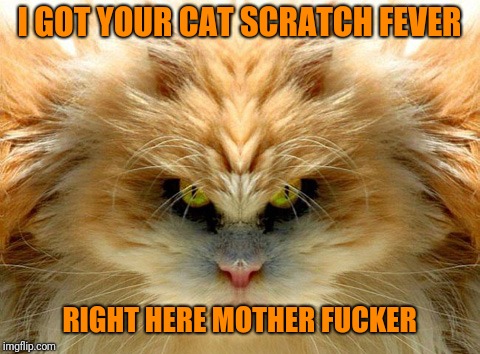 I GOT YOUR CAT SCRATCH FEVER RIGHT HERE MOTHER F**KER | made w/ Imgflip meme maker