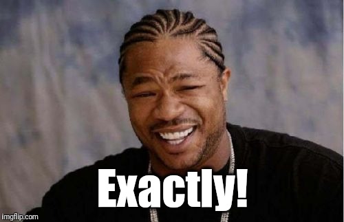 Yo Dawg Heard You Meme | Exactly! | image tagged in memes,yo dawg heard you | made w/ Imgflip meme maker