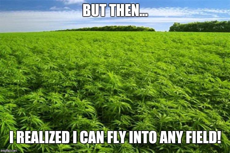 BUT THEN... I REALIZED I CAN FLY INTO ANY FIELD! | made w/ Imgflip meme maker