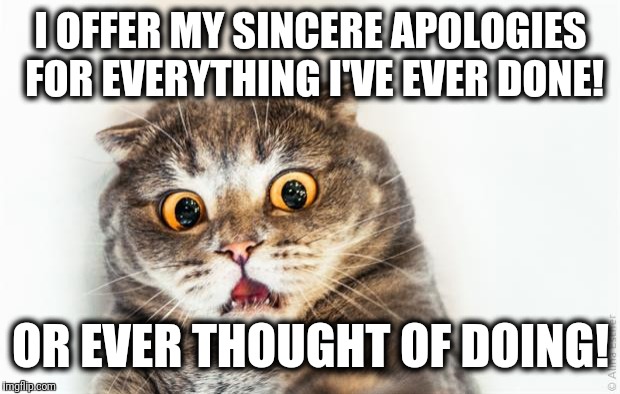 horrified cat | I OFFER MY SINCERE APOLOGIES FOR EVERYTHING I'VE EVER DONE! OR EVER THOUGHT OF DOING! | image tagged in horrified cat | made w/ Imgflip meme maker