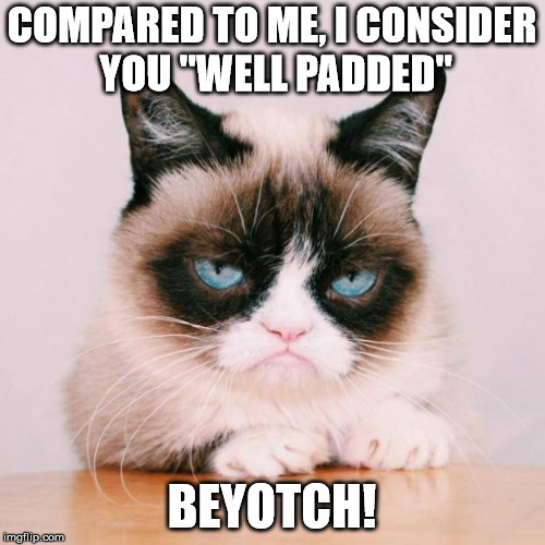 grumpy cat again | COMPARED TO ME, I CONSIDER YOU "WELL PADDED" BEYOTCH! | image tagged in grumpy cat again | made w/ Imgflip meme maker