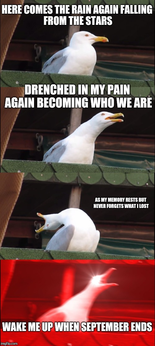 Inhaling Seagull Meme | HERE COMES THE RAIN AGAIN
FALLING FROM THE STARS; DRENCHED IN MY PAIN AGAIN
BECOMING WHO WE ARE; AS MY MEMORY RESTS
BUT NEVER FORGETS WHAT I LOST; WAKE ME UP WHEN SEPTEMBER ENDS | image tagged in memes,inhaling seagull | made w/ Imgflip meme maker