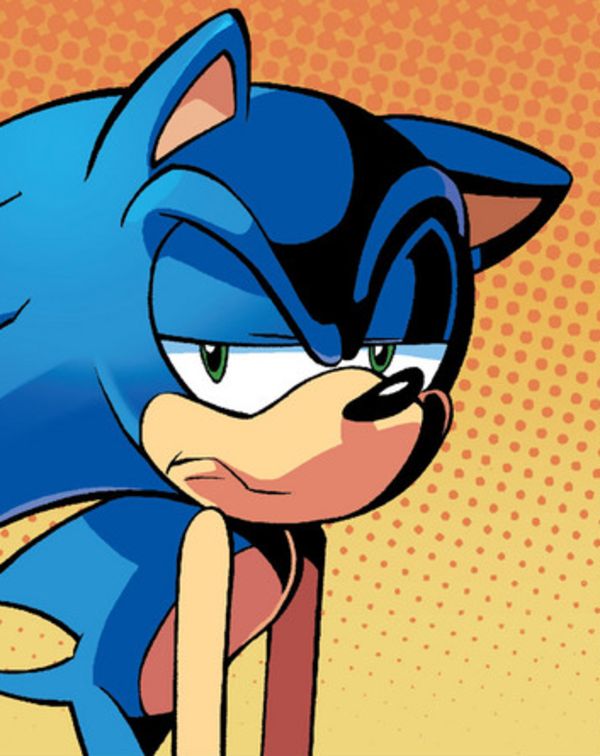 Annoyed Sonic Blank Meme Template
