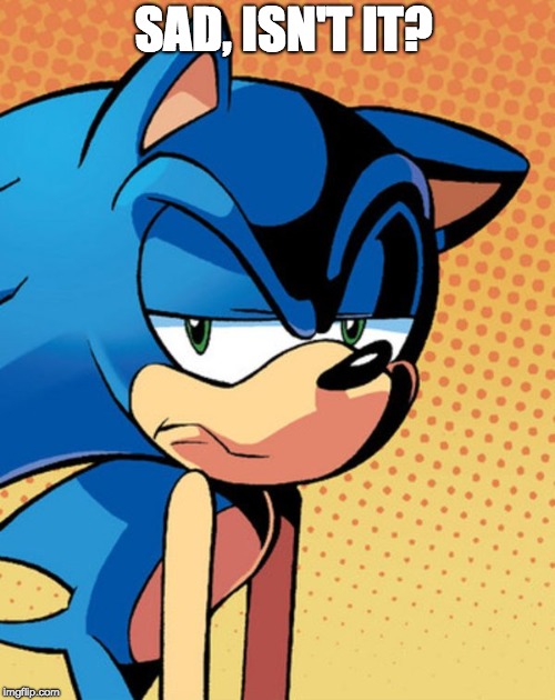 Annoyed Sonic | SAD, ISN'T IT? | image tagged in annoyed sonic | made w/ Imgflip meme maker