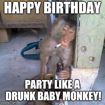 Drunken Ass monkey | HAPPY BIRTHDAY; PARTY LIKE A DRUNK BABY MONKEY! | image tagged in drunken ass monkey | made w/ Imgflip meme maker