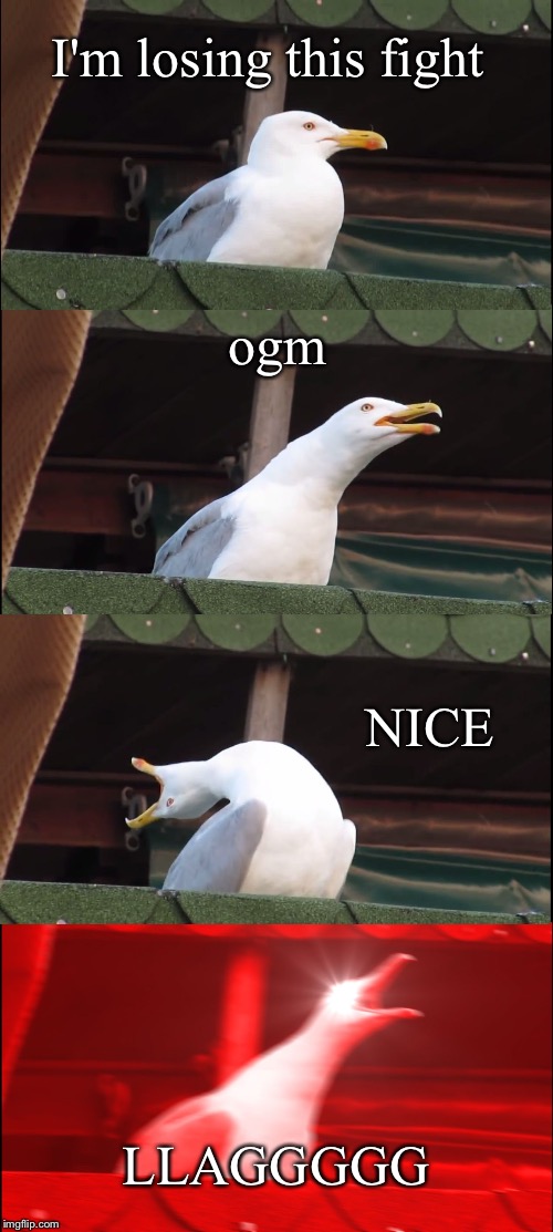 Inhaling Seagull Meme | I'm losing this fight; ogm; NICE; LLAGGGGG | image tagged in memes,inhaling seagull | made w/ Imgflip meme maker