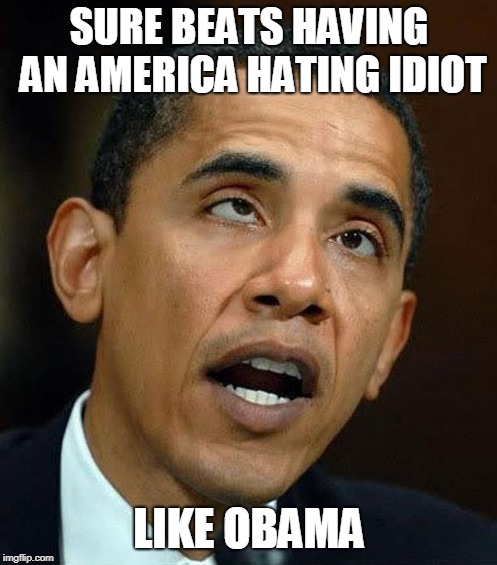partisanship | SURE BEATS HAVING AN AMERICA HATING IDIOT LIKE OBAMA | image tagged in partisanship | made w/ Imgflip meme maker