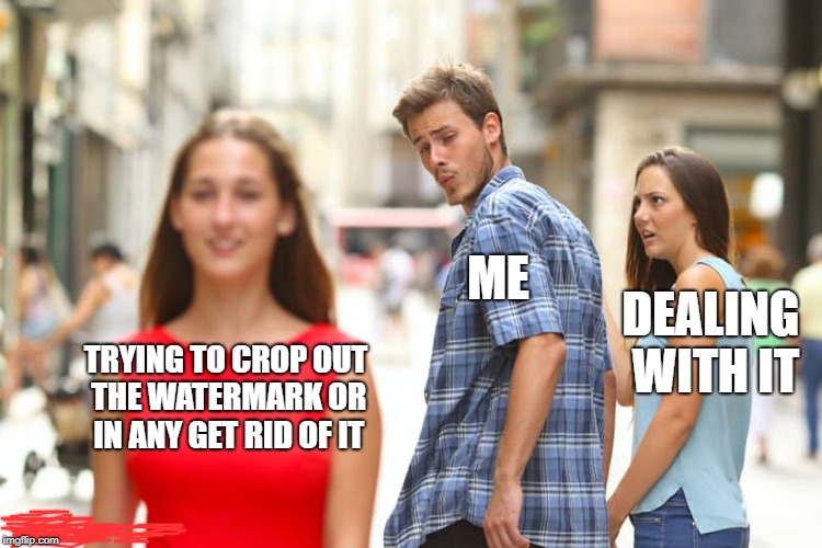 Distracted Boyfriend | ME; DEALING WITH IT; TRYING TO CROP OUT THE WATERMARK OR IN ANY GET RID OF IT | image tagged in memes,distracted boyfriend | made w/ Imgflip meme maker