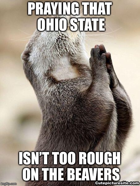 Praying beaver | PRAYING THAT OHIO STATE; ISN’T TOO ROUGH ON THE BEAVERS | image tagged in praying beaver | made w/ Imgflip meme maker