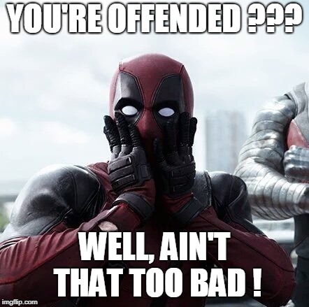 Deadpool Surprised | YOU'RE OFFENDED ??? WELL, AIN'T THAT TOO BAD ! | image tagged in memes,deadpool surprised | made w/ Imgflip meme maker