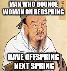 Confucius Say | MAN WHO BOUNCE WOMAN ON BEDSPRING; HAVE OFFSPRING NEXT SPRING | image tagged in confucius,memes,funny memes | made w/ Imgflip meme maker