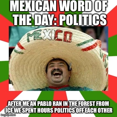 mexican word of the day | MEXICAN WORD OF THE DAY: POLITICS; AFTER ME AN PABLO RAN IN THE FOREST FROM ICE WE SPENT HOURS POLITICS OFF EACH OTHER | image tagged in mexican word of the day | made w/ Imgflip meme maker