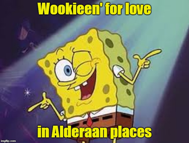 Wookieen' for love in Alderaan places | made w/ Imgflip meme maker