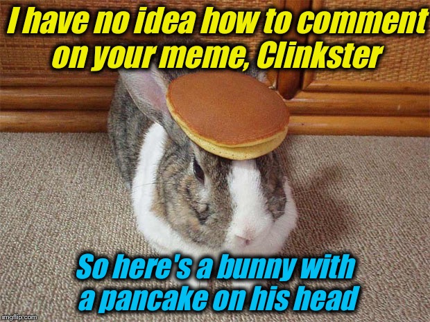 Bunny Pancake | I have no idea how to comment on your meme, Clinkster So here's a bunny with a pancake on his head | image tagged in bunny pancake | made w/ Imgflip meme maker