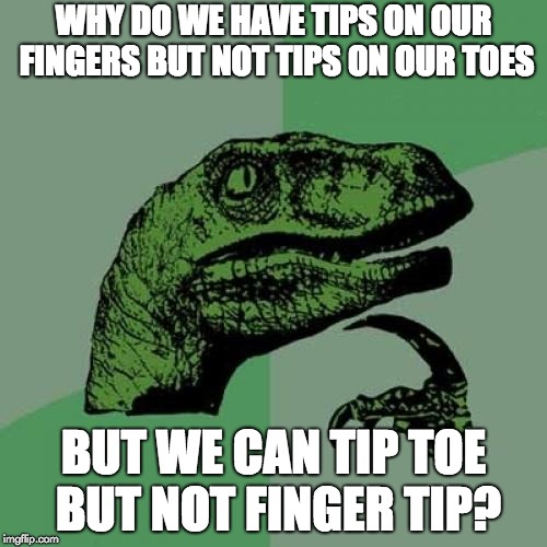 Philosoraptor | WHY DO WE HAVE TIPS ON OUR FINGERS BUT NOT TIPS ON OUR TOES; BUT WE CAN TIP TOE BUT NOT FINGER TIP? | image tagged in memes,philosoraptor | made w/ Imgflip meme maker