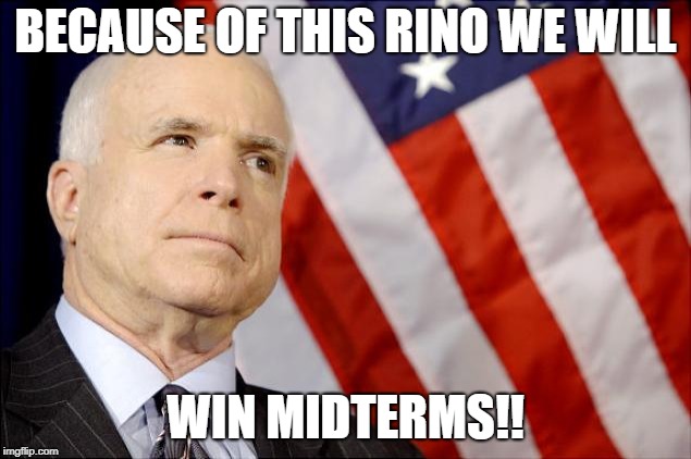 John McCain | BECAUSE OF THIS RINO WE WILL; WIN MIDTERMS!! | image tagged in john mccain | made w/ Imgflip meme maker