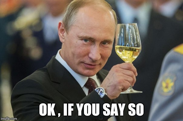 Putin Cheers | OK , IF YOU SAY SO | image tagged in putin cheers | made w/ Imgflip meme maker