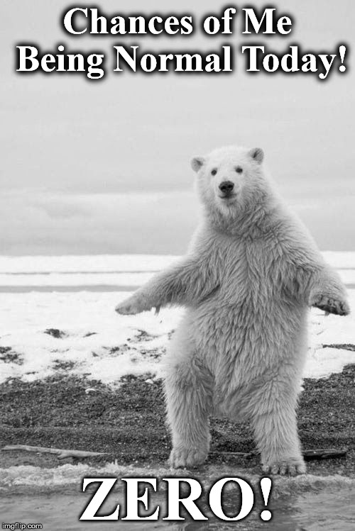 Chances of Me Being Normal Today! ZERO! | image tagged in bear111 | made w/ Imgflip meme maker