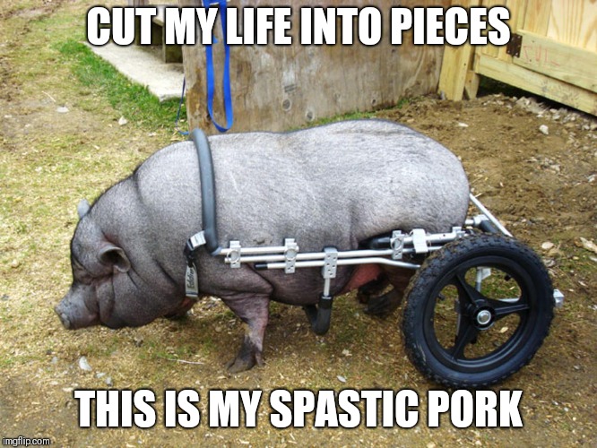 Sing along if you know the words  | CUT MY LIFE INTO PIECES; THIS IS MY SPASTIC PORK | image tagged in disabled pig,memes,pig,funny,dank memes | made w/ Imgflip meme maker