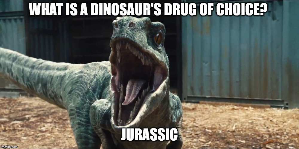Those damn hallucinogens! | WHAT IS A DINOSAUR'S DRUG OF CHOICE? JURASSIC | image tagged in memes,meme,dinosaur,jurassic,drugs,pun | made w/ Imgflip meme maker