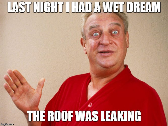 rondney dangerfield meme  | LAST NIGHT I HAD A WET DREAM; THE ROOF WAS LEAKING | image tagged in rondney dangerfield meme | made w/ Imgflip meme maker