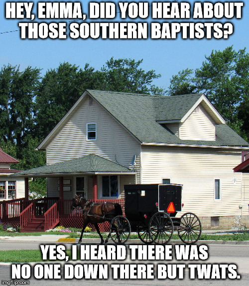 Grass guzzler | HEY, EMMA, DID YOU HEAR ABOUT THOSE SOUTHERN BAPTISTS? YES, I HEARD THERE WAS NO ONE DOWN THERE BUT TWATS. | image tagged in grass guzzler | made w/ Imgflip meme maker