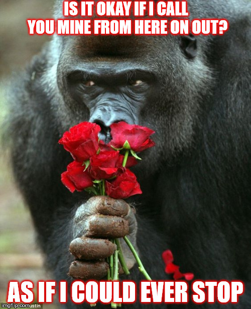 DMB Here On Out | IS IT OKAY IF I CALL YOU MINE FROM HERE ON OUT? AS IF I COULD EVER STOP | image tagged in dmb,dave matthews band,here on out,roses,gorilla,ape | made w/ Imgflip meme maker