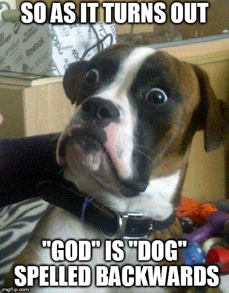 Surprised Dog | SO AS IT TURNS OUT; "GOD" IS "DOG" SPELLED BACKWARDS | image tagged in surprised dog,god,dog,gods,dogs,as it turns out | made w/ Imgflip meme maker