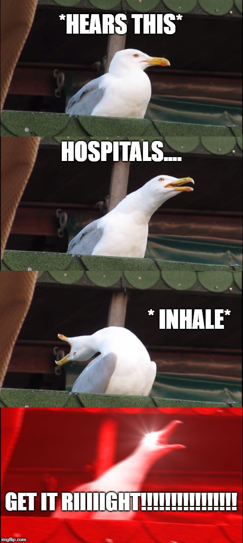 Inhaling Seagull Meme | *HEARS THIS* HOSPITALS.... * INHALE* GET IT RIIIIIGHT!!!!!!!!!!!!!!!! | image tagged in memes,inhaling seagull | made w/ Imgflip meme maker