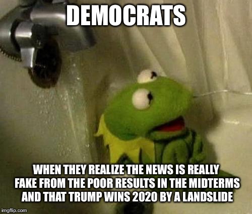 DEMOCRATS WHEN THEY REALIZE THE NEWS IS REALLY FAKE FROM THE POOR RESULTS IN THE MIDTERMS AND THAT TRUMP WINS 2020 BY A LANDSLIDE | made w/ Imgflip meme maker