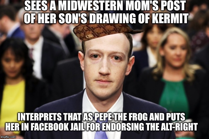 Scumbag Zuckerberg | SEES A MIDWESTERN MOM'S POST OF HER SON'S DRAWING OF KERMIT; INTERPRETS THAT AS PEPE THE FROG AND PUTS HER IN FACEBOOK JAIL FOR ENDORSING THE ALT-RIGHT | image tagged in scumbag zuckerberg | made w/ Imgflip meme maker