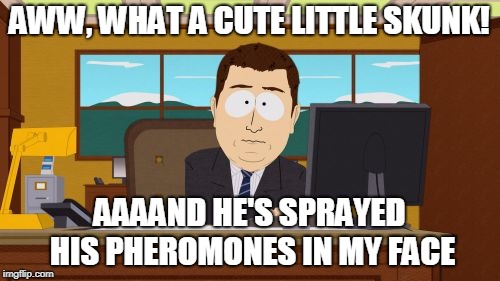 Aaaaand Its Gone Meme | AWW, WHAT A CUTE LITTLE SKUNK! AAAAND HE'S SPRAYED HIS PHEROMONES IN MY FACE | image tagged in memes,aaaaand its gone | made w/ Imgflip meme maker