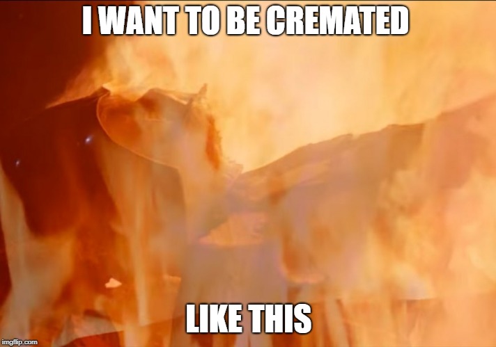 darth vader cremation | I WANT TO BE CREMATED; LIKE THIS | image tagged in darth vader cremation | made w/ Imgflip meme maker