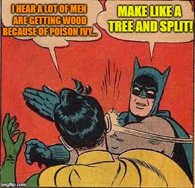 Batman Slapping Robin | I HEAR A LOT OF MEN ARE GETTING WOOD BECAUSE OF POISON IVY... MAKE LIKE A TREE AND SPLIT! | image tagged in memes,batman slapping robin | made w/ Imgflip meme maker