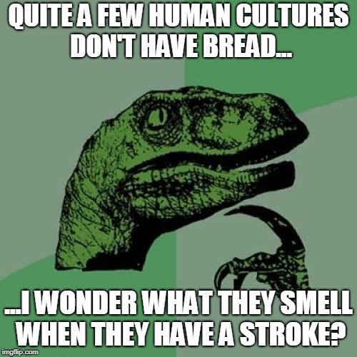 Philosoraptor Meme | QUITE A FEW HUMAN CULTURES DON'T HAVE BREAD... ...I WONDER WHAT THEY SMELL WHEN THEY HAVE A STROKE? | image tagged in memes,philosoraptor | made w/ Imgflip meme maker